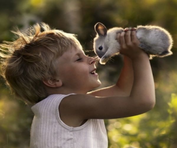 钟南山院士说养狗能增强免疫力,钟南山院士谈养宠物预防哮喘