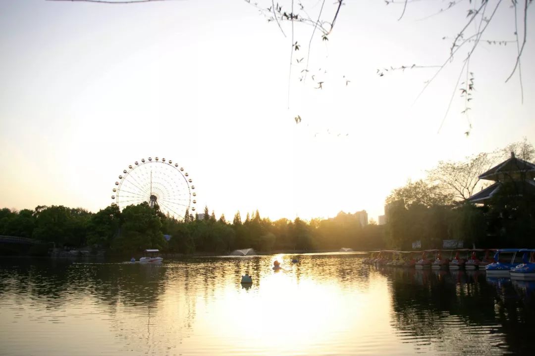 合肥秋季风景打卡地方排行榜,合肥最值得打卡地