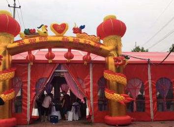 农村种田项目,北方农村挣钱项目有哪些