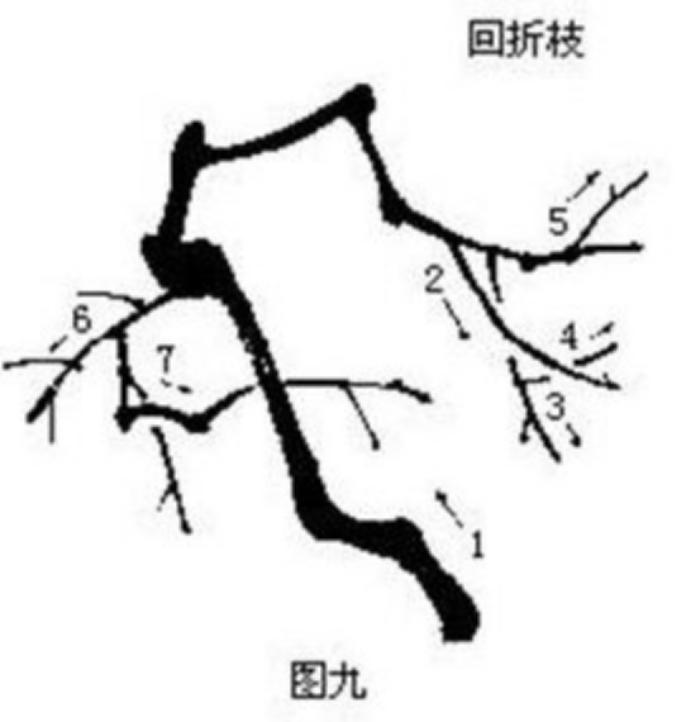 梅花画法简笔画,梅花画法的视频