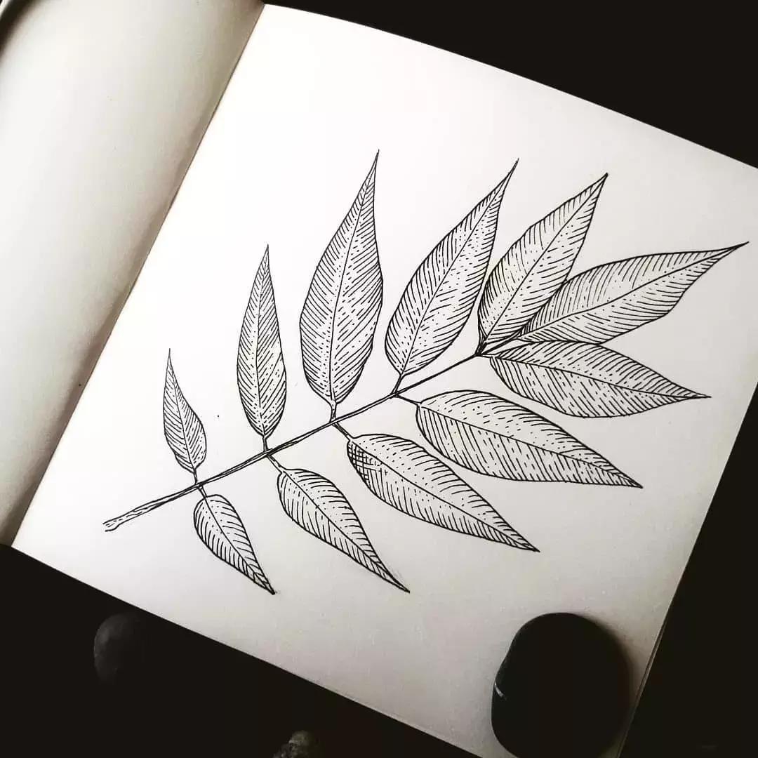 这一波手绘太给力了,绝对让你练完不厉害都难