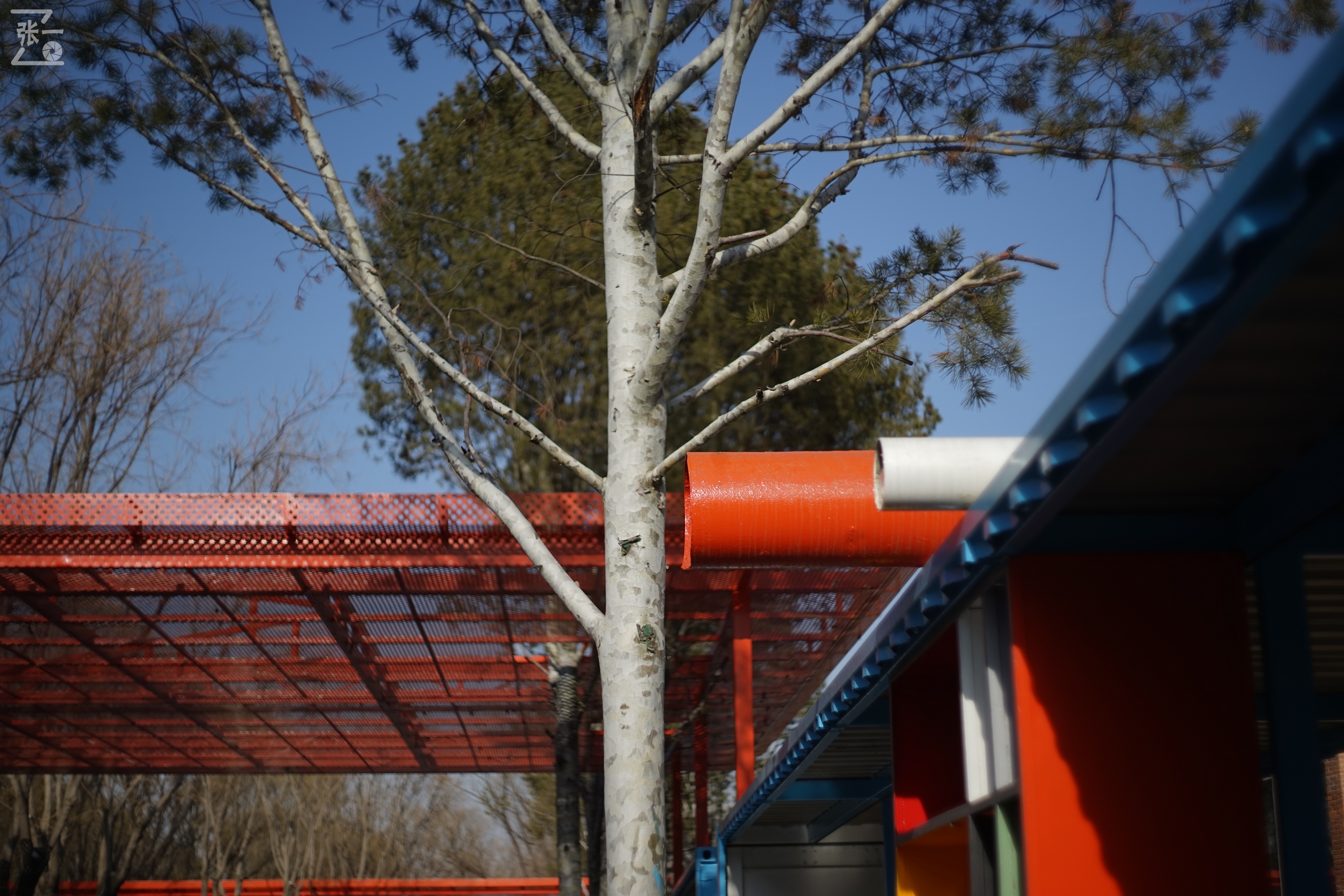 日本进口雅西卡胶卷相机,雅西卡135相机