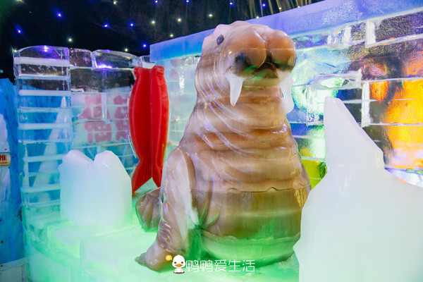 厦门遛娃旅游攻略,厦门方特带小孩有什么好玩的