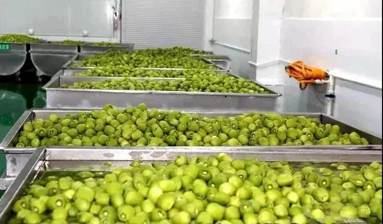 眉县猕猴桃苹果出口,猕猴桃苹果出口