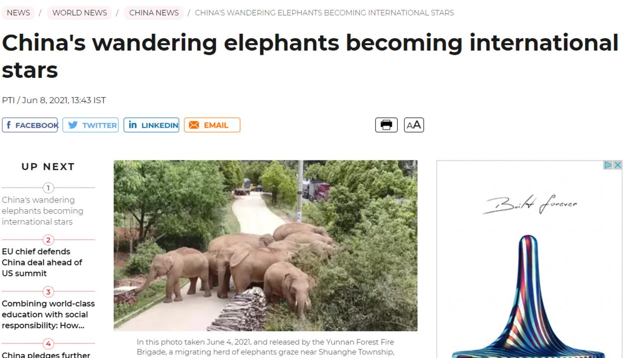 云南象萌翻全世界!外网追直播“吸大象”,夸中国护象措施太可爱