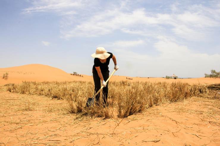 黄河宁夏故事,黄河贺兰山交汇