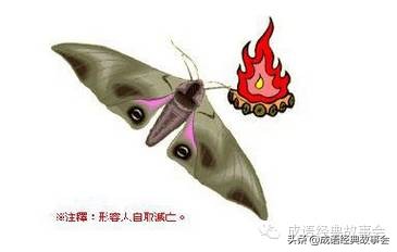 一个狗和一个小兔对视看图猜成语,看图猜成语二只长獠牙的狗