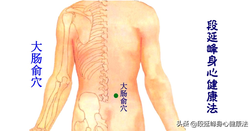 胃肠动力不足中药如何调理,胃肠功能紊乱胃动力不足怎么办