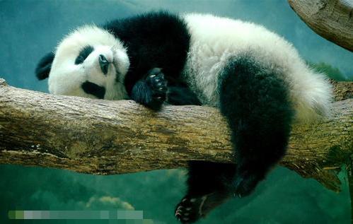 “翠花、宙斯”那些家长跳过的英文名的坑