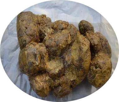 蜂胶和大蒜油哪个抗菌抗癌好,蜂胶价格为什么差这么多