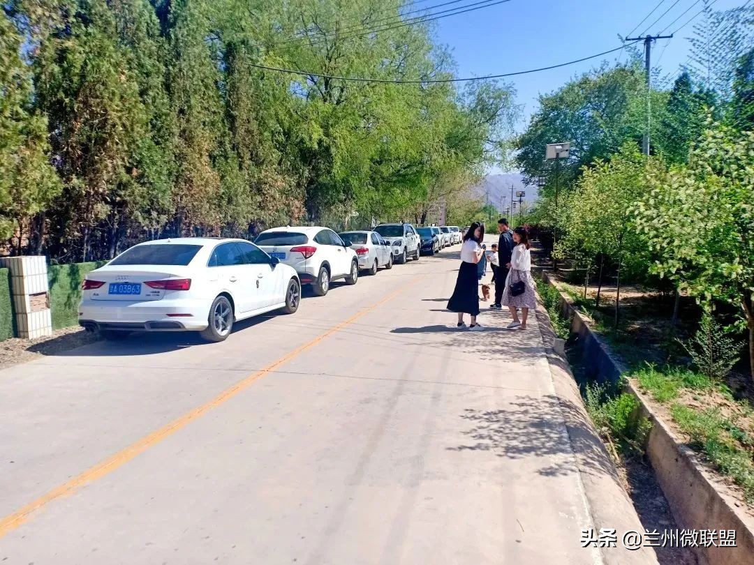 杏林湖黑天鹅,五一假期观光兰州