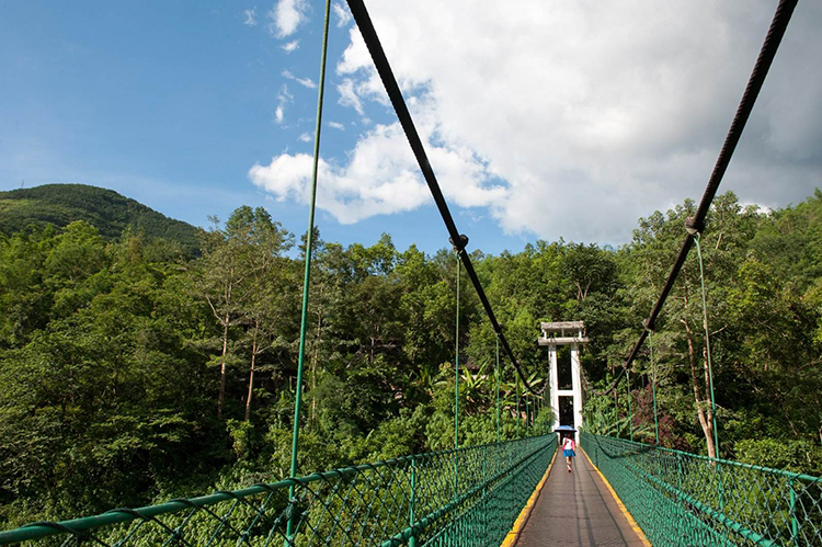 西南西双版纳,西双版纳原始森林氧吧