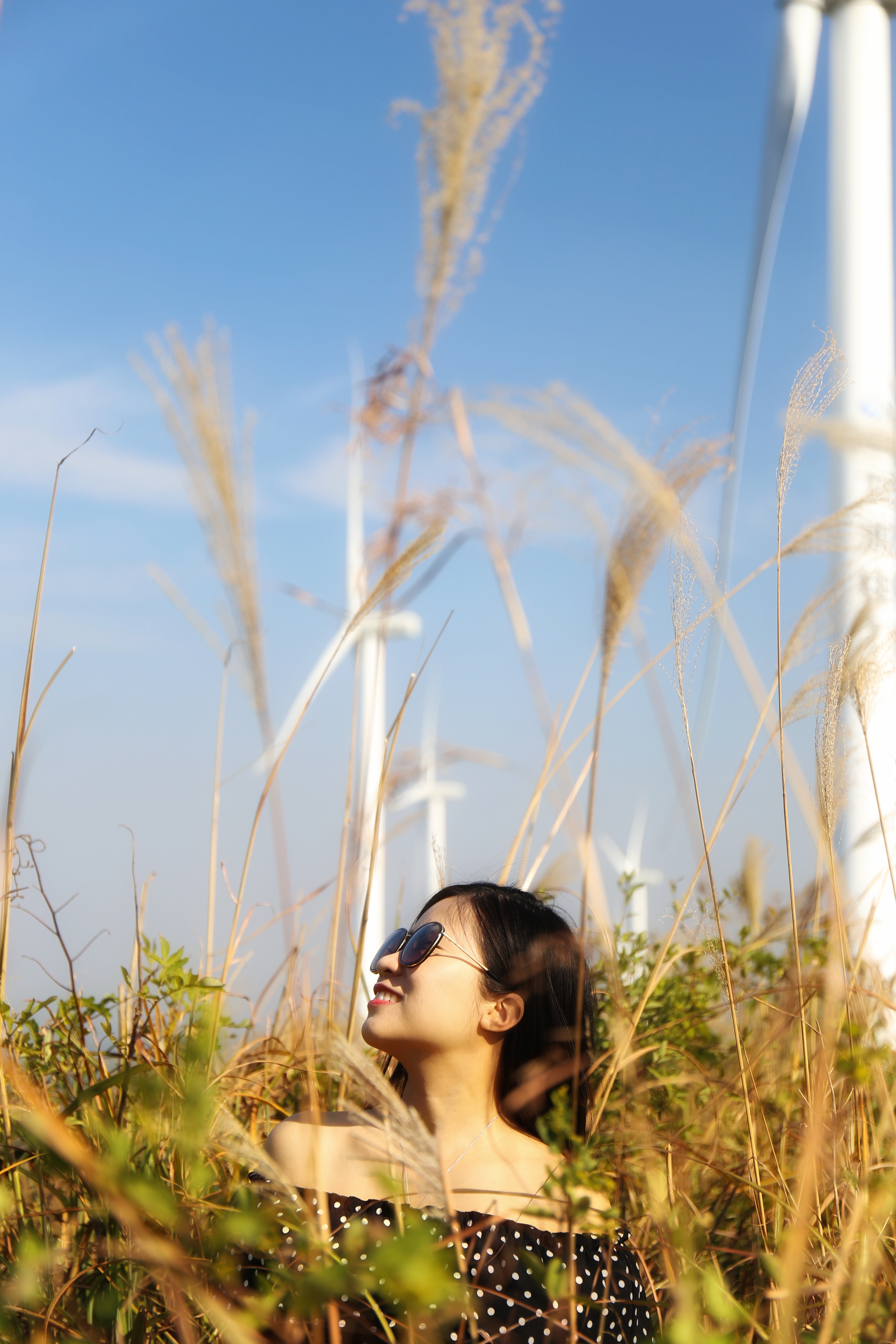 南宁东两天两夜旅游攻略,南宁出发3-5天自驾短途旅游推荐