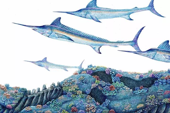 小央美水墨画作品欣赏,小央美人物画