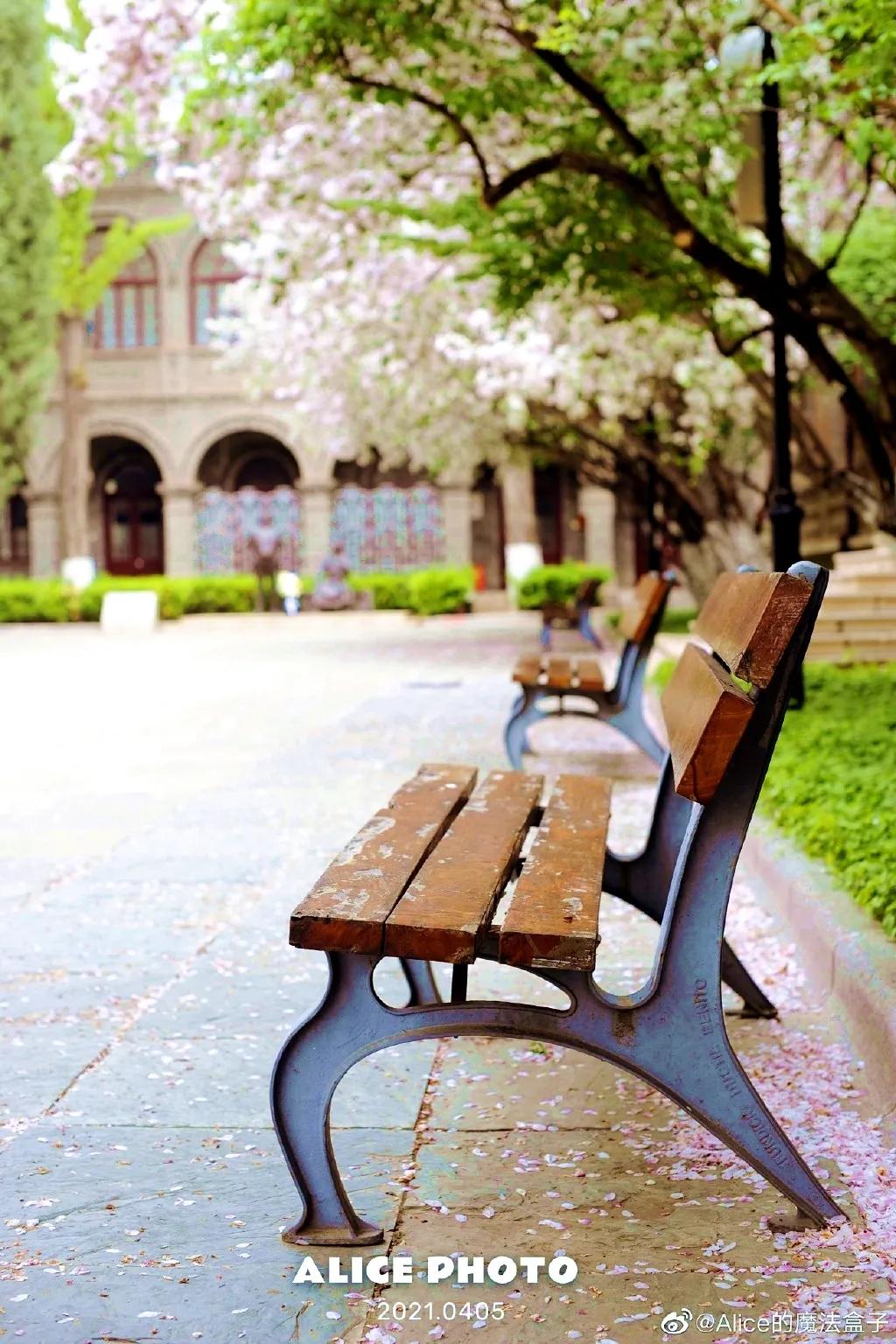 重庆南开中学在全国排名,南开中学很有名吗