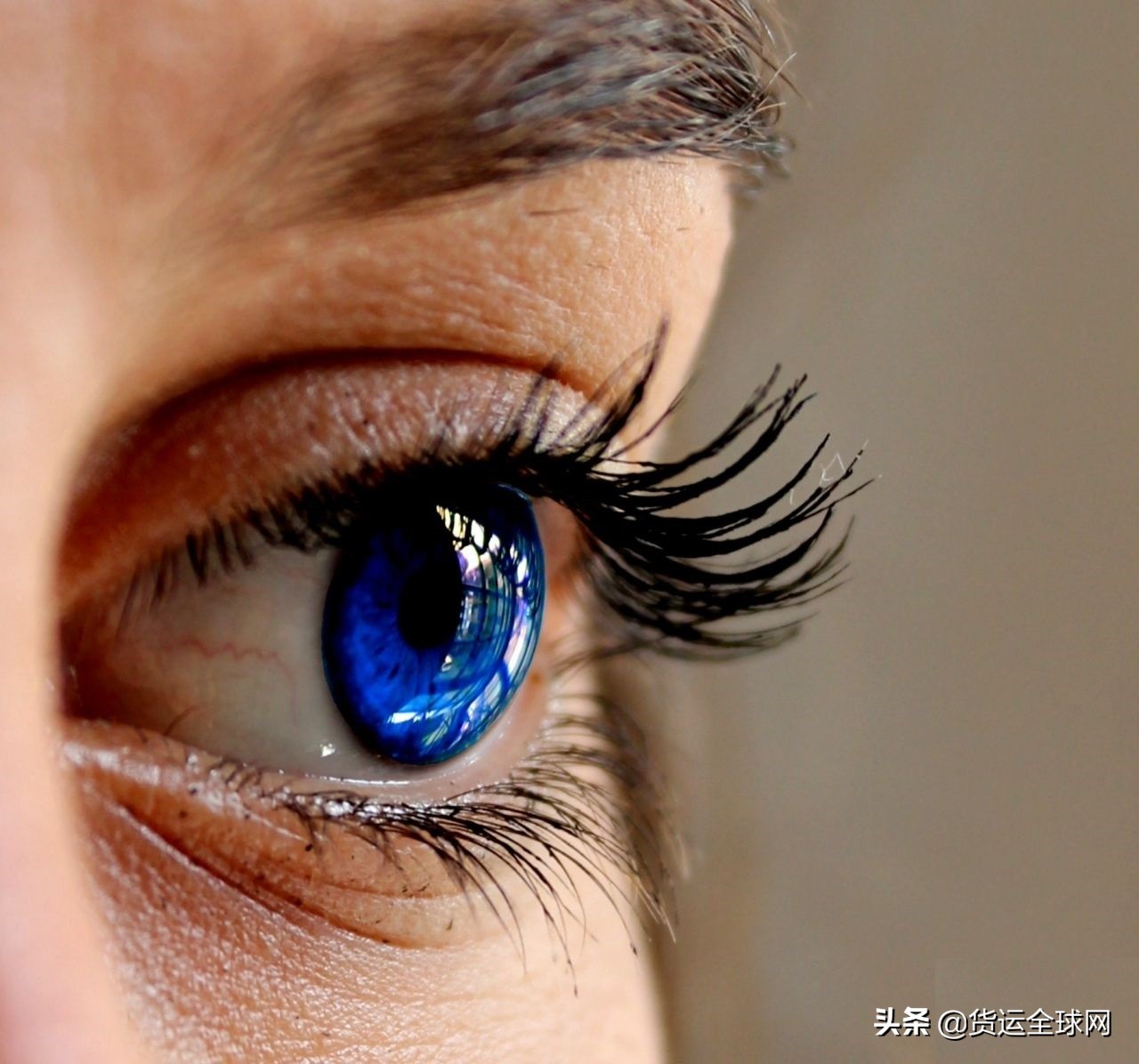 外贸英语函电期末复习常用语缩写,外贸常用术语缩写大全