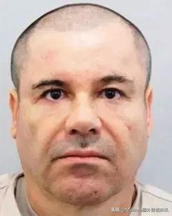 毒枭墨西哥1-3季,毒枭墨西哥电视剧全集