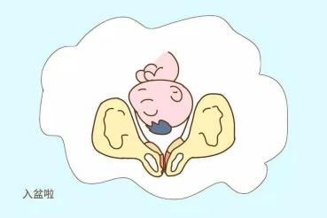 孕晚期入盆有褐色分泌物怎么回事,孕晚期是慢慢入盆还是一下就入盆