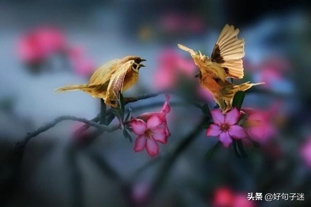 人生感悟英文短句子,句句入骨,看完你会明白很多!