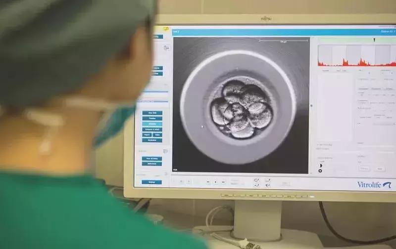 这件“外套”，人人都有过！