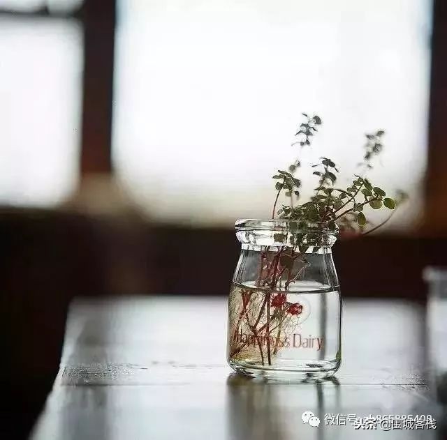 红颜知己是一种浪漫的境界,蓝颜和红颜知己存在的最高境界