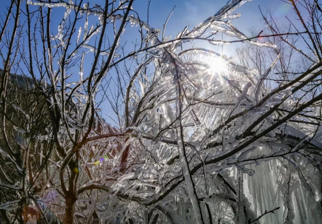 薛家寨照金国际滑雪场,热雪奇迹滑雪场高级道
