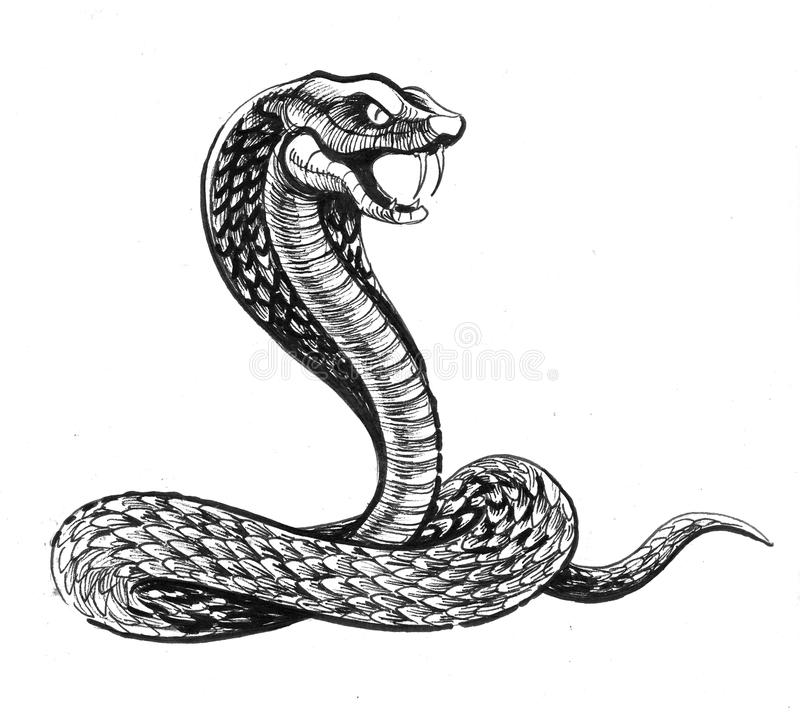 物业都说抓不完!南宁一小区惊现眼镜蛇银环蛇,养猫养狗能防蛇吗