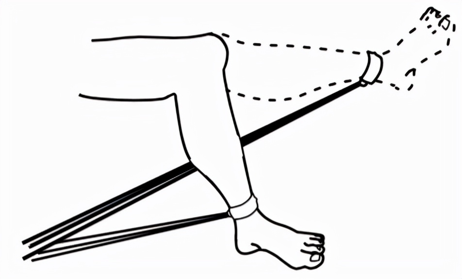 肌骨康复研究常用方法,肌骨康复入门书籍