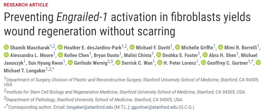 斯坦福大学科学家发现了让伤口不留疤痕愈合的方法