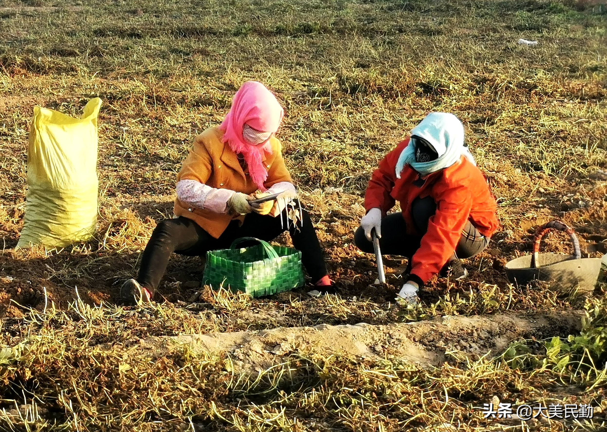 大学生圆梦创业,大学生农业孵化基地