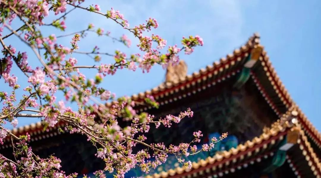 故宫系列文创营销案例分析,故宫文创营销目的