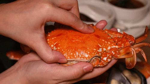 深圳万德诺富特酒店附近美食,深圳万德诺富特酒店离宝安多远