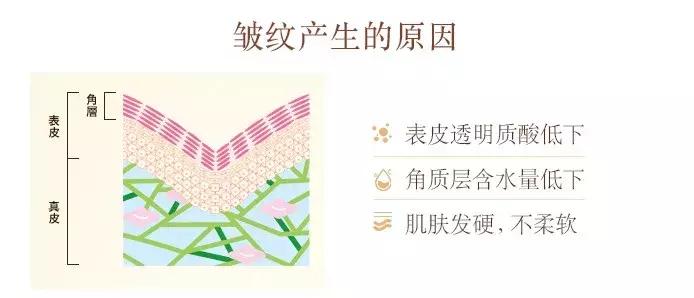 在日本销量第一品牌,资生堂口碑最好的4款