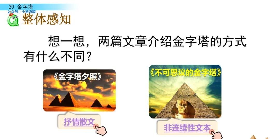 部编版五年级下册语文金字塔教案,语文书五年级下册第20课课后练习