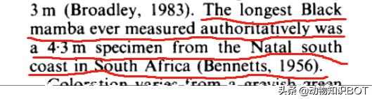 黑曼巴毒蛇的速度,2.5米黑曼巴毒蛇