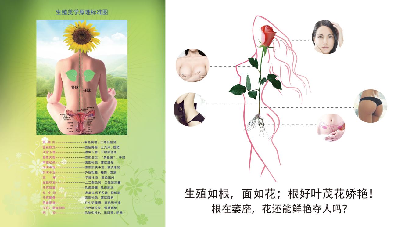 姐妹为什么会变成黄脸婆,姐妹变成黄脸婆