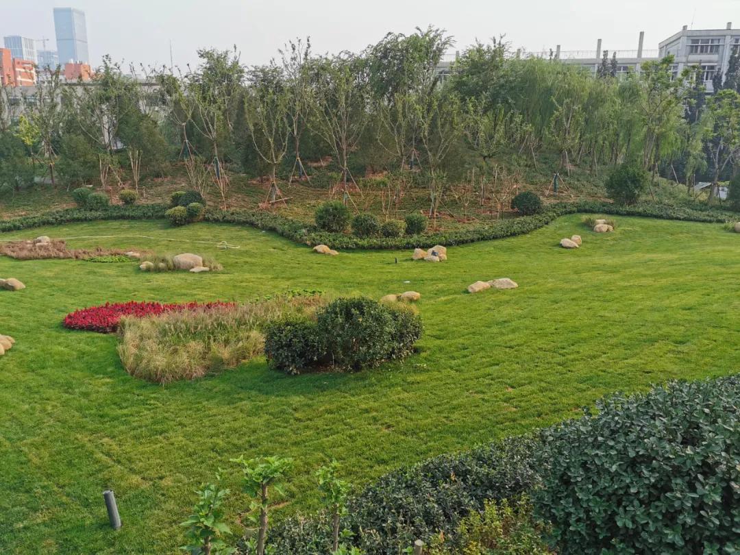 济南再添网红打卡地,济南又添网红打卡地