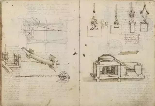植物学第一次实验体会,植物学实践课