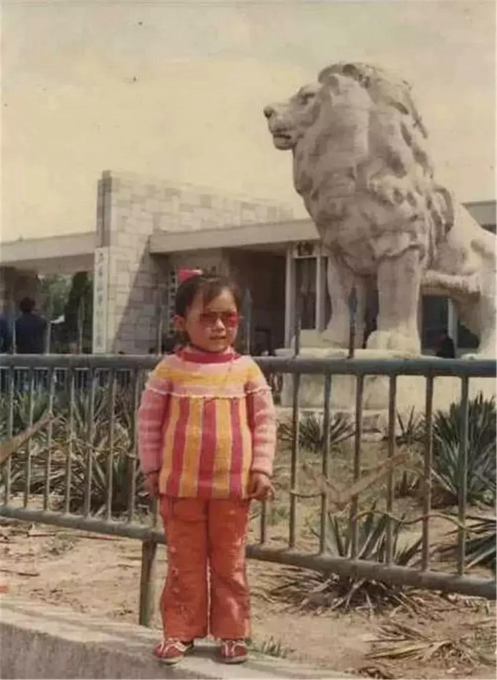 四十年前石家庄街景视频,石家庄40年