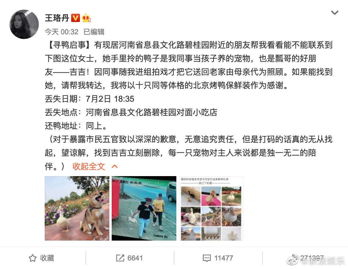 王珞丹寻鸭启事是怎么回事,王珞丹回应寻鸭完整版