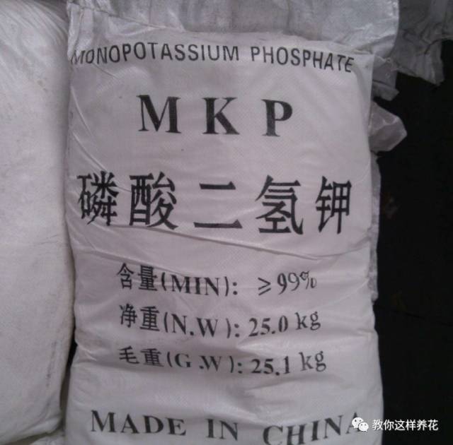 养花用多菌灵和磷酸二氢钾,养花磷酸二氢钾如何正确使用