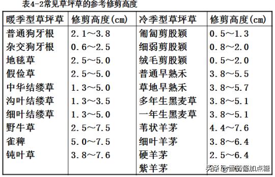 园林草坪修剪施工方案,园林草坪怎么修剪视频教程