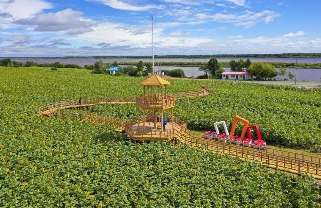 夏季黑河旅游攻略,夏季黑河旅游