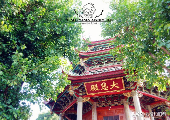 四天玩遍厦门,四天畅游厦门