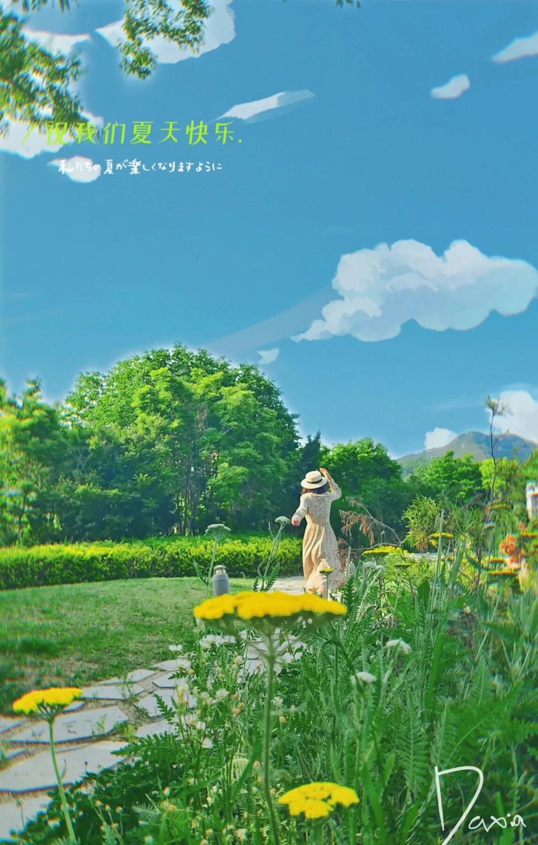 青岛粉黛花海拍照,青岛好看的拍照地怎么拍