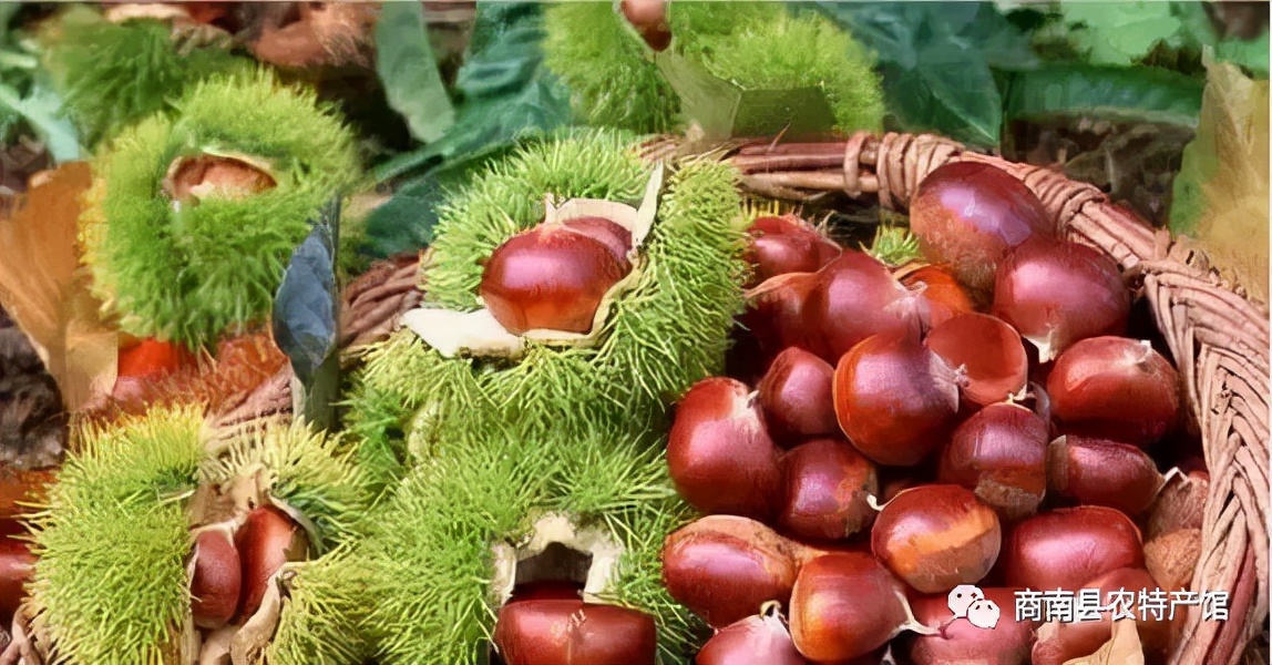 商南清油河土特产,商南土特产叶子凉粉