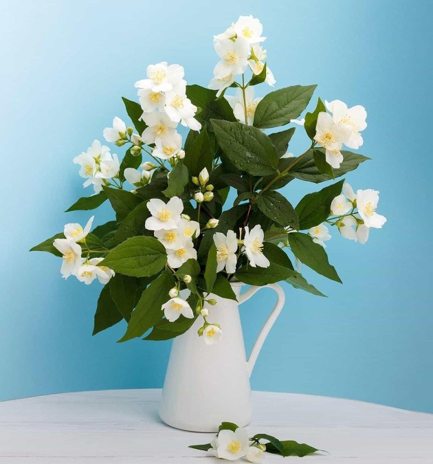 阴虚和阳虚中医怎么看,中医文化阳虚与阴虚课程