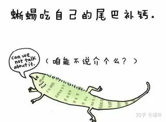 想象中不一样的动物冷知识,悲伤的动物视频