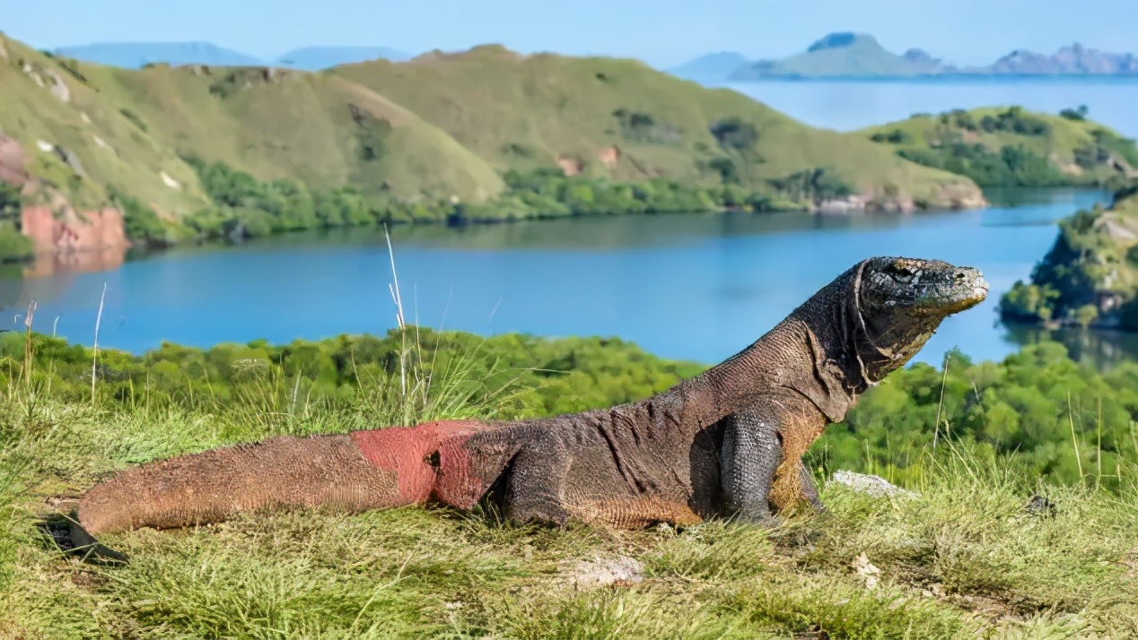 最美丽的岛屿,世界上十大最美丽的岛屿