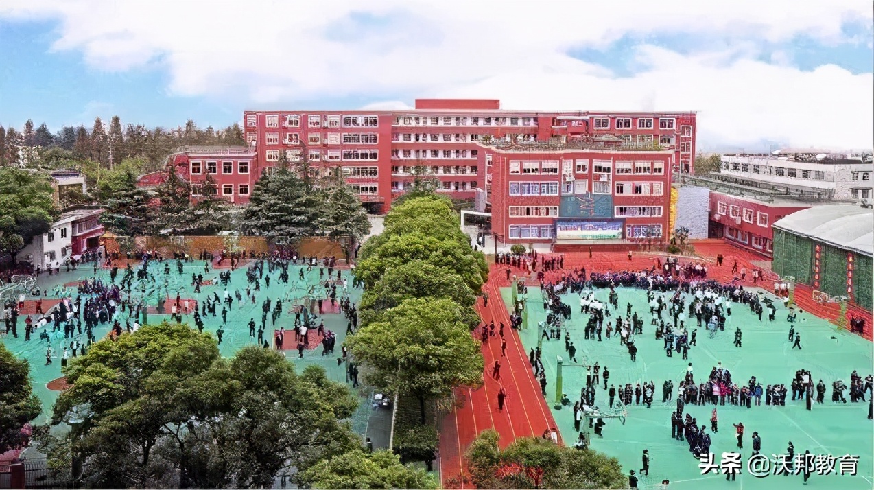 西南位育国际部师资力量,西南位育国际部